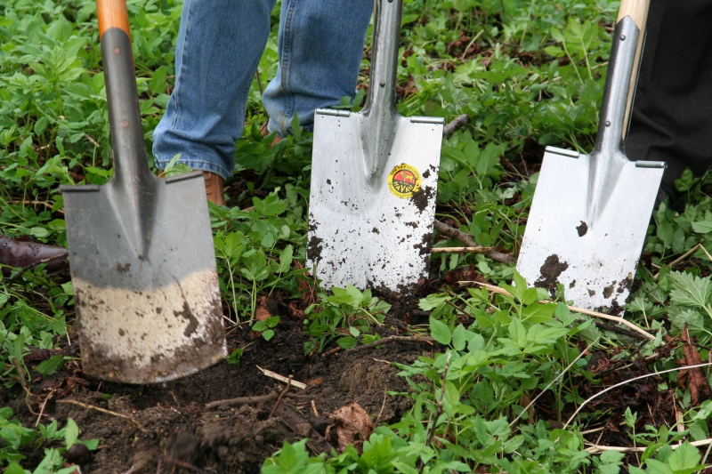 pepiniere-PIERREFEU-min_work-lawn-flower-tool-green-backyard-1103633-pxhere.com